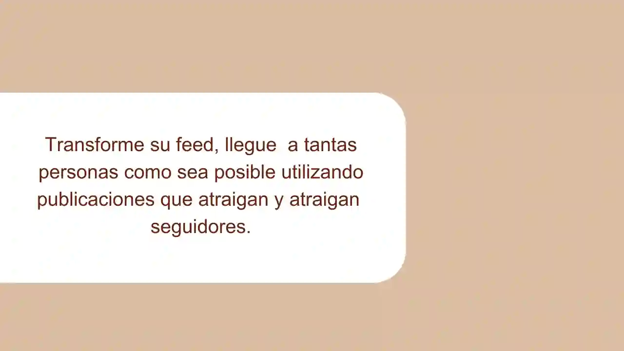 imagen6-wep